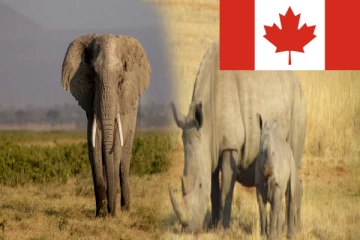 கனடா அரசு பிறப்பித்துள்ள புதிய தடை உத்தரவு!