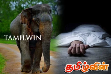 காட்டு யானை தாக்கி ஆண் ஒருவர் மரணம்