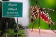 கிளிநொச்சி மாவட்டத்தில் டெங்கு தொற்று