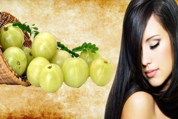 முடி உதிர்வைத் தடுக்க நெல்லிக்காயை எவ்வாறு பயன்படுத்துவது: முடி ஆரோக்கியத்தை மேம்படுத்த சிறந்த வழிகள் இதோ