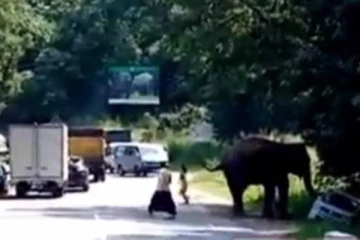 සුපිරි මෝටර් රථය පොඩිකර දැමූ බිහිසුණු මෙරට අලි ප්‍රහාරයේ දර්ශන..(VIDEO)