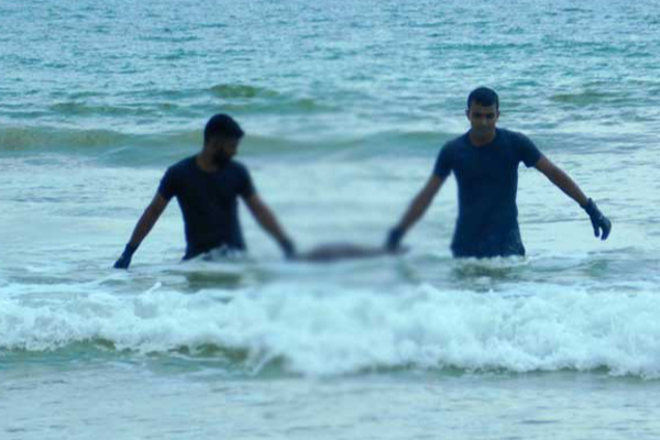 சிலாபம் கடலில் மூழ்கி குடும்பஸ்தர் இருவர் பலி! - ஐபிசி தமிழ்