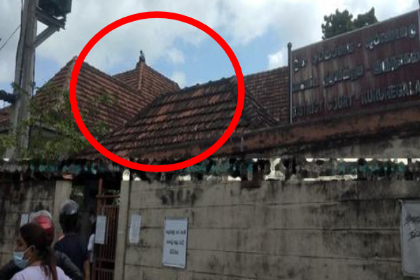 நீதிமன்ற கூரையில் ஏறி பரபரப்பை ஏற்படுத்திய நபர்! | Man Who Climbed Court Roof And Caused A Stir