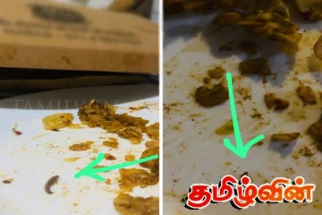 கொழும்பில் பிரபல உணவகத்தில் கொத்து ரொட்டி வாங்கியவருக்கு காத்திருந்த அதிர்ச்சி