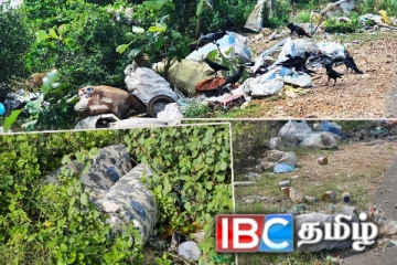 யாழ். காக்கைதீவு சந்தைக்கு அருகில் வீசப்பட்ட மாட்டின் தலை