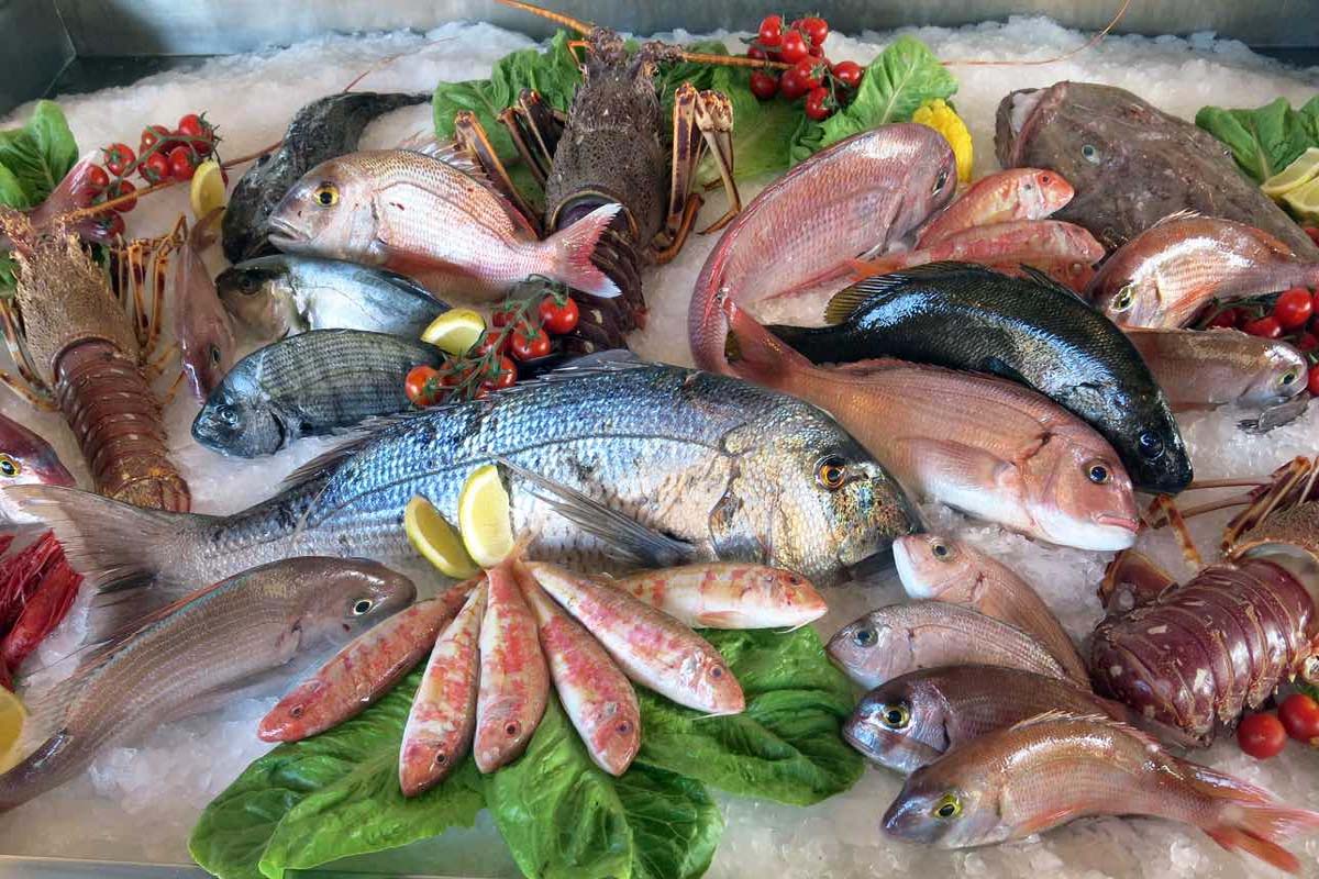மீனை யாரெல்லாம் சாப்பிடக்கூடாது தெரியுமா? உஷார் மக்களே | People Who Have This Problem Should Not Eat Fish