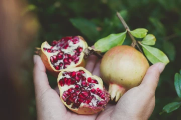 மறந்து கூட இந்த நோயாளிகள் மாதுளையை சாப்பிடக்கூடாதாம்! பேராபத்தை ஏற்படுத்துமாம்