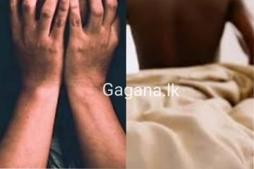මෙරට තරුණියගේ අනියම් ඇසුර ලොව පුරාම වෙබ් අඩවි ගණනාවක්ම උණුසුම් කරයි... සංසරණය වන වීඩියෝ අන්තර්ජාලය පුරා...