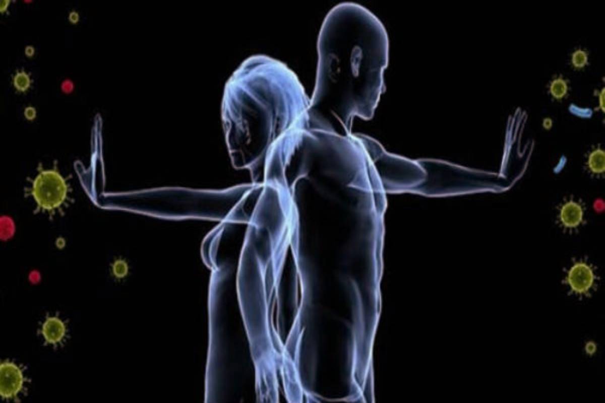 தினமும் வேகவைத்த நெல்லிக்காயைச் சாப்பிட்டால் என்ன நன்மை? | Benefits Of Eating Boiled Gooseberries Every Day