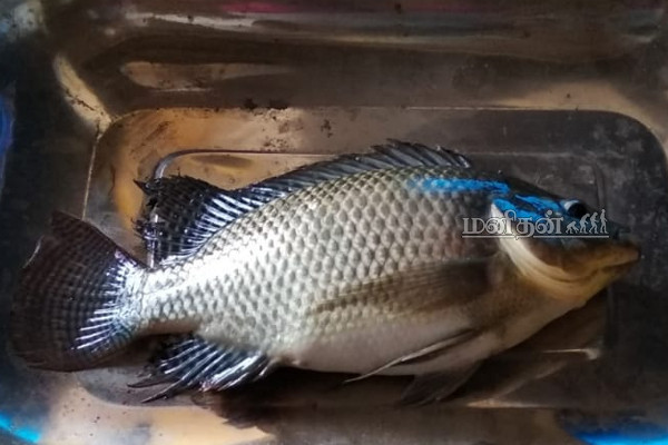 இறக்குமதி செய்து விற்கப்பட்டு வரும் ஆபத்தான உணவுகள் - உயிருக்கு ஆபத்து...எச்சரிக்கையாக பார்த்து வாங்குங்கள் | Dangerous Foods From China