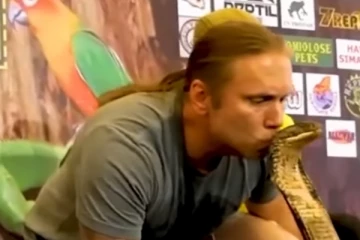 அசால்ட்டாக கோப்ராவுக்கு முத்தம் கொடுத்த நபர் !!