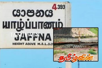 யாழில் ஊருக்குள் புகுந்த முதலையால் பரபரப்பு!