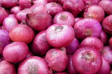 வெங்காயத்தின் விலை குறைவடையும்