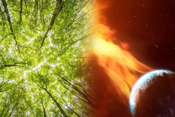 பூமியில் நேரவுள்ள இயற்கை அழிவு: முன்கூட்டியே எச்சரிக்கும் மரங்கள் - செய்திகளின் தொகுப்பு