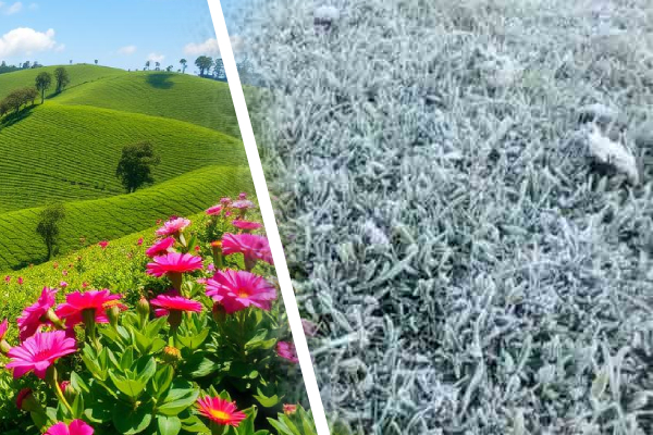 17 ஆண்டுகளுக்குப் பின் நுவரெலியாவில் ஏற்பட்ட மாற்றம்! | Cool Climate Nuwara Eliya After 17 Years