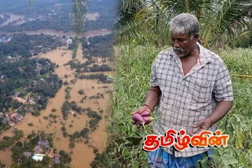 டித்வா புயல் காரணமாக தோட்டச் செய்கையாளர்களின் வாழ்வாதாரம் பாதிப்பு