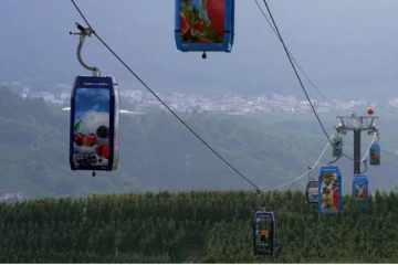 இத்தாலி விவசாயிகளின் புதிய முயற்சி ; கேபிள் கார்களில் பயணிக்கும் ஆப்பிள்கள்