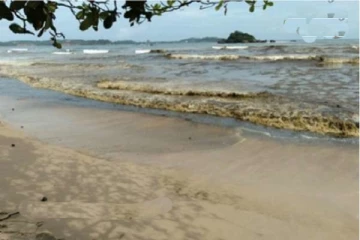 மாத்தறையில் திடீரென நிறம் மாறிய கடல்: அச்சமடைந்த மக்கள்