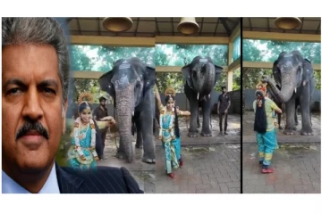 புத்தாண்டில் நல்ல தொடக்கம்; ஆசீர்வதித்த கோவில் யானை - ஆனந்த் மகேந்திரா நெகிழ்ச்சி...!