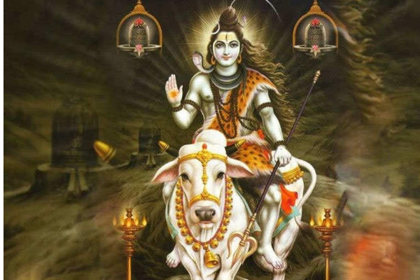 இன்று  மகா சிவராத்திரி  தினம்; நான்கு கால பூஜைகளை வழிபட கிடைக்கும்  பலன்கள்;  என்னென்ன தெரியுமா? | Today Is Maha Shivaratri Day