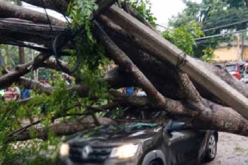 கார் மீது விழுந்த பாரிய மரம் ; தெய்வாதீனமாக தப்பிய குடும்பம்