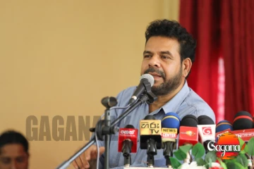 පුළුවන් නම් ඔප්පු කරන්න, එහෙම කලොත් ඇමතිකමෙන් ඉල්ලා අස්වෙනවා - නාමල්