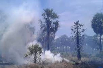 கிளிநொச்சியில் தீயினால் தென்னை தோப்பு எரிந்து நாசம் (Video)