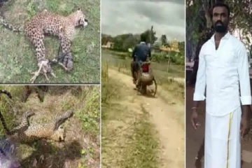 சிறுத்தையுடன் மல்லுக்கட்டி வென்று, பைக்கில் தூக்கி சென்ற இளைஞர் - குவியும் பாராட்டு!