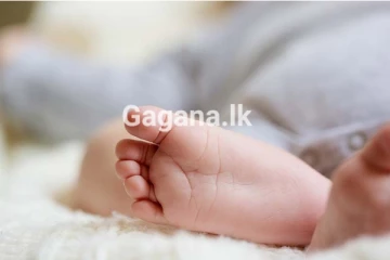 දින එකොළහේ බිළිඳා ICU දමා පලා ගිය පාපතර දෙමව්පියන්..