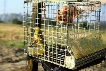 பிரான்சில் இனி இதற்கு தடை! உச்ச நீதிமன்றம் முக்கிய உத்தரவு