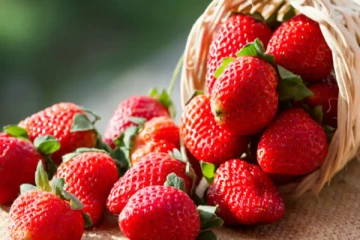 ஸ்ட்ராபெர்ரி பழத்தில் இவ்வளவு நன்மைகளா? - சாப்பிட்டு பாருங்க