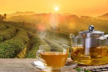 இயற்கை பேரழிவால் தேயிலைத் தொழில் கடுமையாகப் பாதிப்பு