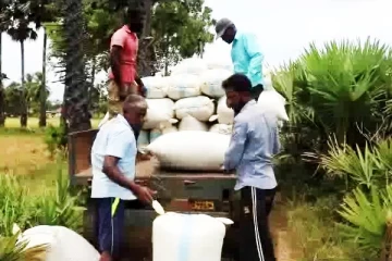 வங்கி கணக்குகளில் வைப்பிலிடப்பட்டுள்ள பெரும்போக செய்கை கொடுப்பனவுகள்