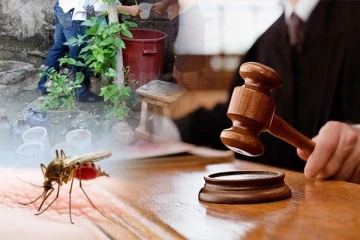 யாழில் டெங்கு பரவும் சூழல்: மூவருக்கு எதிராக வழக்கு தாக்கல்