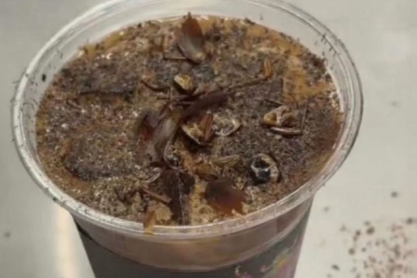 புழுக்கள், கரப்பான் பூச்சியில் தயாரிக்கப்பட்ட காபி - ஆர்வத்துடன் வாங்கி குடிக்கும் இளைஞர்கள் | China Musuem Launch Worms Cockroach Coffee புழுக்கள், கரப்பான் பூச்சியில் தயாரிக்கப்பட்ட காபி - ஆர்வத்துடன் வாங்கி குடிக்கும் இளைஞர்கள் | China Musuem Launch Worms Cockroach Coffee