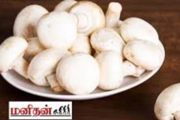 எண்ணற்ற சத்துக்கள் அடங்கிய காளானை யார் சாப்பிடக்கூடாது தெரியுமா?...