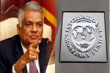 IMF கடன் பயன்படுத்தப்படுவதை கண்காணிக்க குழு!