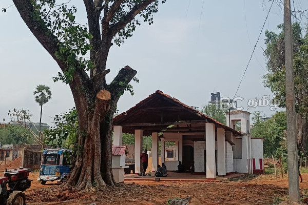 யாழில் 33 வருடங்களின் பின் புதுப்பொலிவு பெறவுள்ள ஆலயம் | Kangesanturai West Mangollai Temple Kumbabhishekam