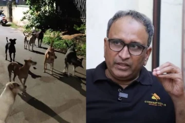 தெருநாய்களுக்கு உணவளிக்க பணம் பறிக்கும் கும்பல் (காணொளி)