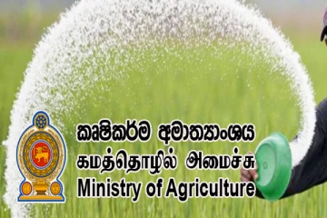 யூரியா உரத்தை தட்டுப்பாடின்றி விநியோகிக்க நடவடிக்கை - விவசாய அமைச்சு