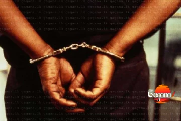 ලොකු පැටීගේ මුදල් භාරව සිටි කපු මහත්තයා අත්අඩංගුවට