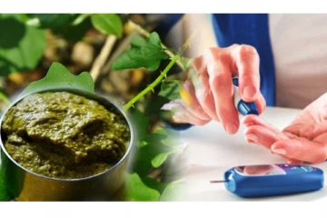 சர்க்கரை நோயையும், பித்தத்தையும் கட்டுப்படுத்தும் தூதுவளை சட்னி! செய்வது எப்படி?