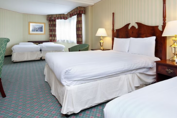 ஹொட்டல்களில் வெள்ளை நிற போர்வைகள் பயன்படுத்தப்படுவது ஏன் தெரியுமா? | Why Hotels Stick To White Bed Sheets In Tamil