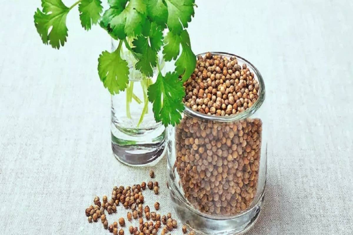 சோம்பு மற்றும் கொத்தமல்லி நீர் எந்தெந்தப் பிரச்சனைகளுக்குப் பலனளிக்கும்? | Fennel And Coriander Water Can Help Problems