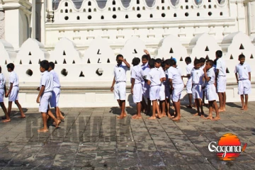 පාසල් චාරිකාවක් ආපු පොඩි උන්ටික දළදා මාලිගාව ඉස්සරහම ඇදගෙන වැටිලා - පහක් හදිසි ප්රතිකාර ඒකකයේ