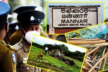பனை மரத்துடன் மினி வான் மோதி விபத்து: ஒன்பது பேர் படுகாயம்