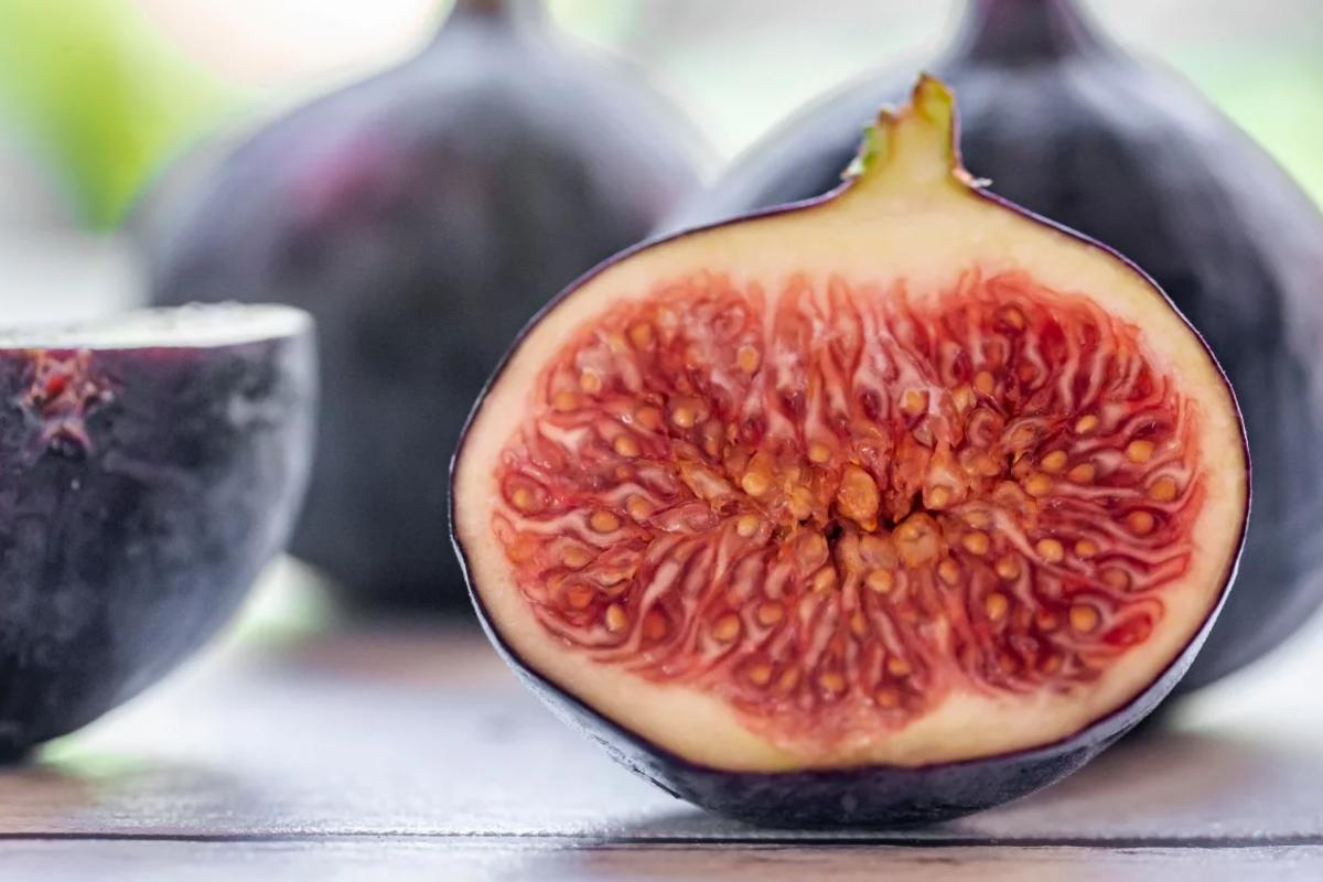 உலகிலேயே மிகவும் பழமையான பழம்.., எது தெரியுமா? | Which Fruit Is The Oldest Fruit In The World