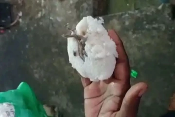 ஹோட்டலில் இட்லி கேட்டவருக்கு காத்திருந்த அதிர்ச்சி! பார்சலில் இருந்தது என்ன?