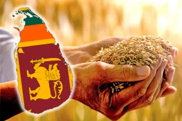 நாட்டில் உணவு பஞ்சம் ஏற்படும் நிலை: விடுக்கப்படும் எச்சரிக்கை - செய்திகளின் தொகுப்பு (Video)