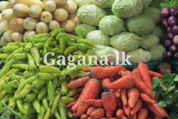 අහස උසට ගිය එළවළු මිල.